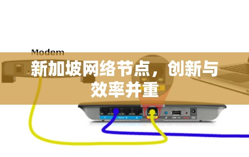 新加坡网络节点，创新与效率并重