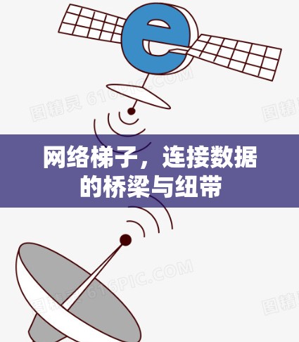 网络梯子，连接数据的桥梁与纽带