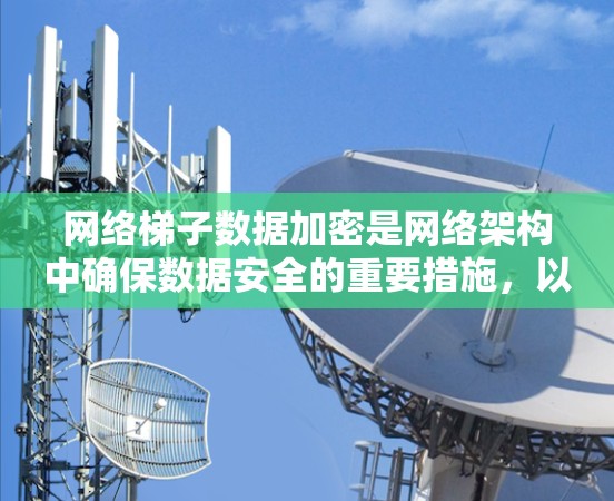 网络梯子数据加密是网络架构中确保数据安全的重要措施，以下是详细的解释