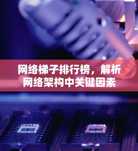 网络梯子排行榜，解析网络架构中关键因素