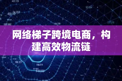 网络梯子跨境电商，构建高效物流链