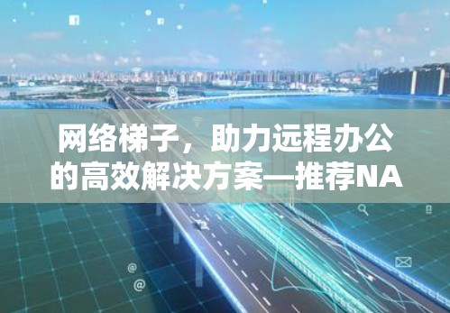网络梯子，助力远程办公的高效解决方案—推荐NATVPN