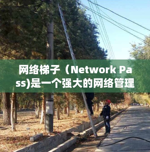 网络梯子（Network Pass)是一个强大的网络管理工具，主要用于连接多个网络设备，如路由器、引卡机、交换机等。以下是使用 Mac版网络梯子进行网络管理的步骤说明