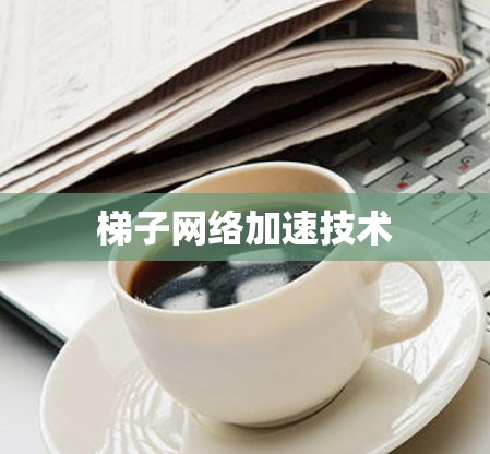 梯子网络加速技术