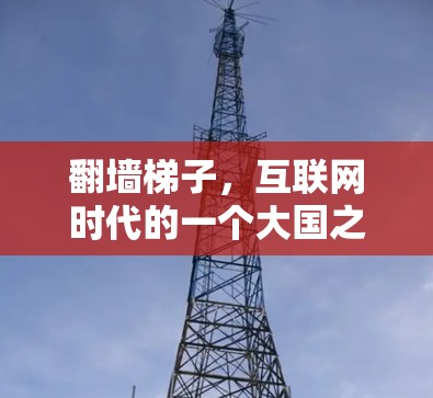 翻墙梯子，互联网时代的一个大国之谜