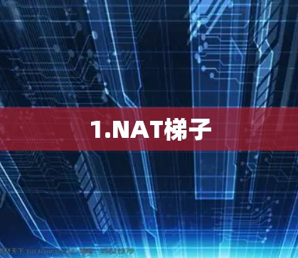 1.NAT梯子