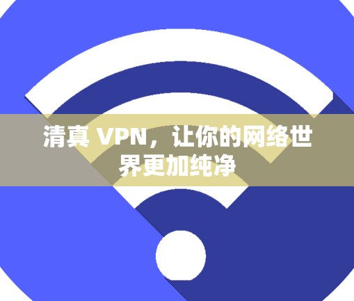 清真 VPN，让你的网络世界更加纯净