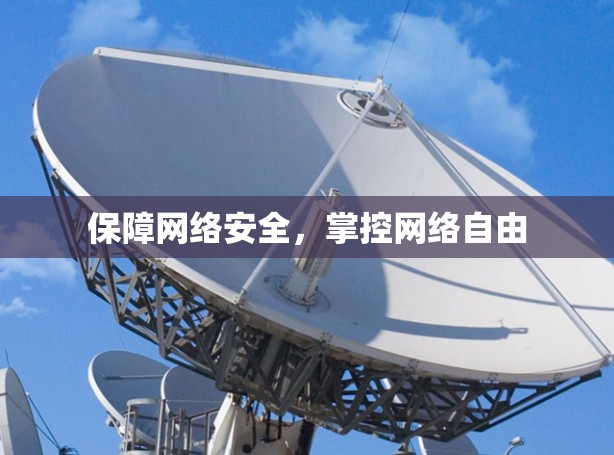 保障网络安全，掌控网络自由