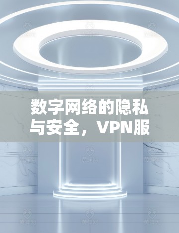 数字网络的隐私与安全，VPN服务质量评估