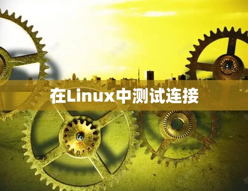 在Linux中测试连接
