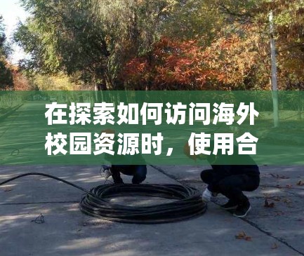 在探索如何访问海外校园资源时，使用合适的访问软件至关重要。以下是对这些软件的系统性分析和总结