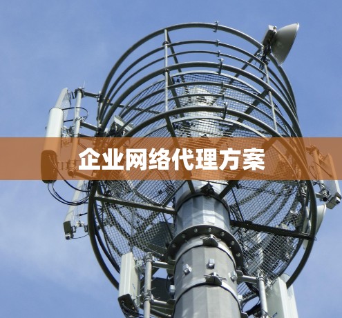 企业网络代理方案