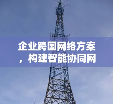 企业跨国网络方案，构建智能协同网络