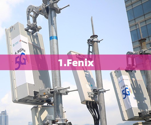 1.Fenix