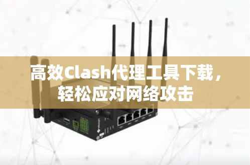 高效Clash代理工具下载，轻松应对网络攻击