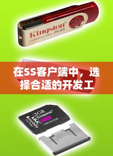 在SS客户端中，选择合适的开发工具可以帮助你更高效地完成任务。以下是SS客户端的推荐，根据你的需求选择合适的工具
