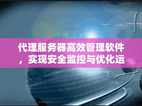 代理服务器高效管理软件，实现安全监控与优化运行