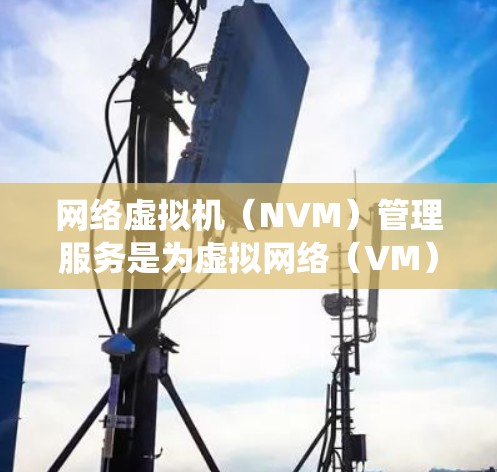 网络虚拟机（NVM）管理服务是为虚拟网络（VM）提供资源管理功能的系统，允许用户在虚拟网络中管理虚拟机，以提高网络资源的灵活性和可用性。以下是对该领域的详细介绍