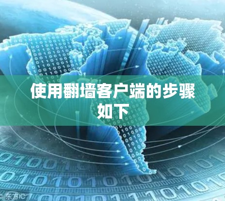 使用翻墙客户端的步骤如下