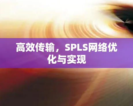 高效传输，SPLS网络优化与实现