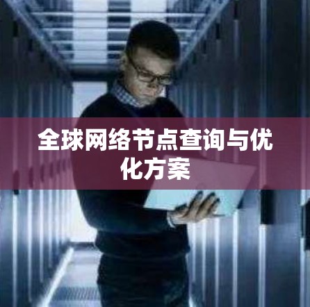 全球网络节点查询与优化方案