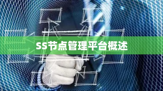SS节点管理平台概述