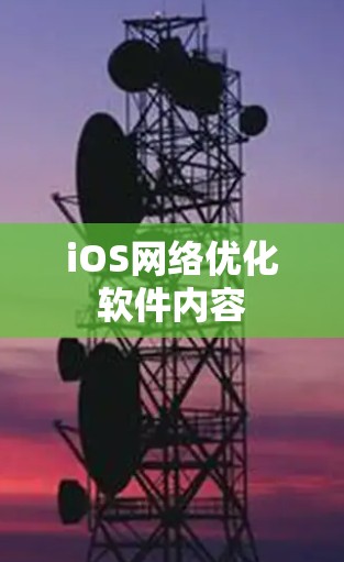 iOS网络优化软件内容