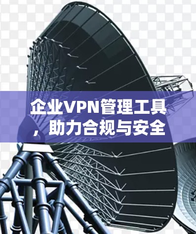 企业VPN管理工具,助力合规与安全