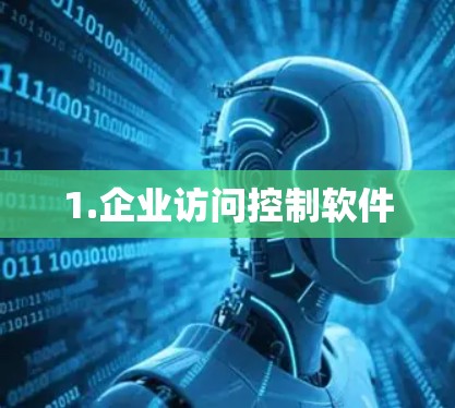 1.企业访问控制软件 1.企业访问控制软件