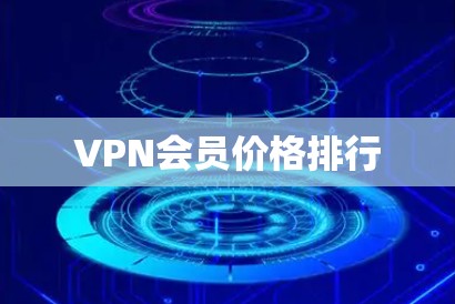 VPN会员价格排行