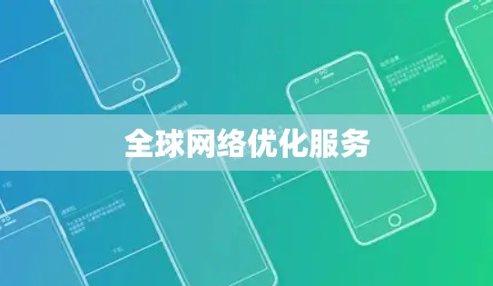 全球网络优化服务