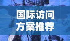 国际访问方案推荐