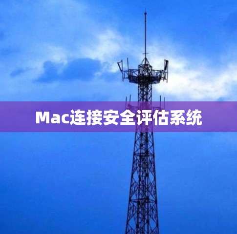 Mac连接安全评估系统