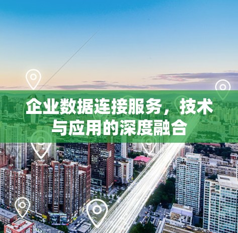 企业数据连接服务,技术与应用的深度融合 企业数据连接服务,技术与应用的深度融合