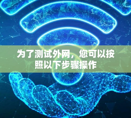为了测试外网,您可以按照以下步骤操作