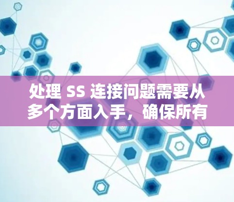 处理 SS 连接问题需要从多个方面入手，确保所有可能的问题都被检查和解决。以下是详细的步骤指南