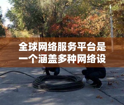 全球网络服务平台是一个涵盖多种网络设备和服务的综合平台,旨在为用户提供高效、可靠的网络连接。以下是对该平台的详细分析