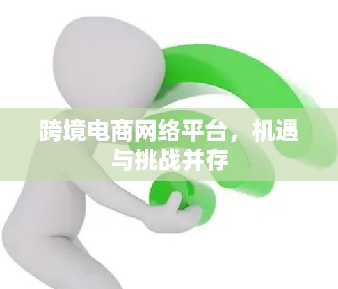 跨境电商网络平台,机遇与挑战并存