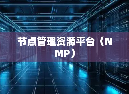 节点管理资源平台（NMP）