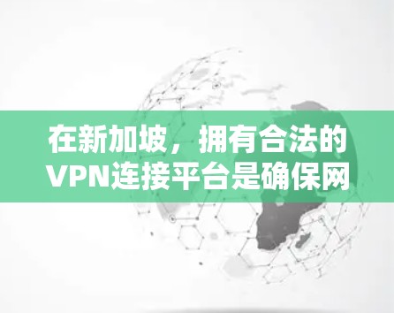 在新加坡，拥有合法的VPN连接平台是确保网络安全的重要步骤。新加坡是一个法律严格、网络安全高度先进的国家，因此选择VPN服务时，必须遵守新加坡的网络和网络安全法（NGPL）