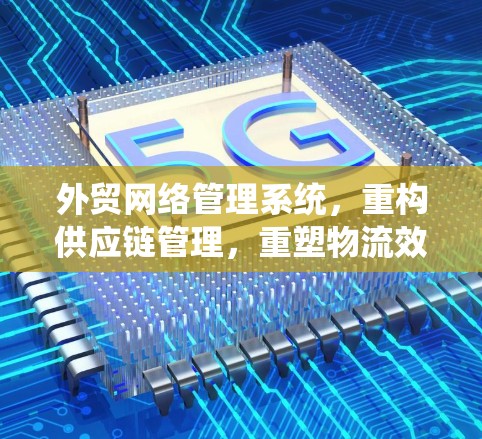 外贸网络管理系统,重构供应链管理,重塑物流效率