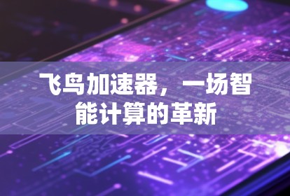 飞鸟加速器,一场智能计算的革新