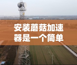 安装蘑菇加速器是一个简单且高效的工具，可以帮助提升服务器性能。以下是安装蘑菇加速器的步骤