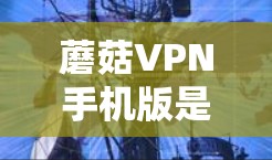蘑菇VPN手机版是一个手机应用,旨在提供安全、便捷的VPN服务。以下是对该应用的分步解释 蘑菇VPN手机版是一个手机应用,旨在提供安全、便捷的VPN服务。以下是对该应用的分步解释