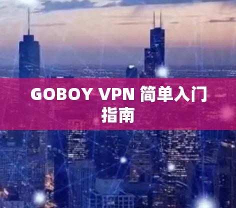 GOBOY VPN 简单入门指南 GOBOY VPN 简单入门指南