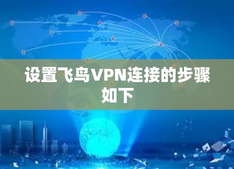 设置飞鸟VPN连接的步骤如下