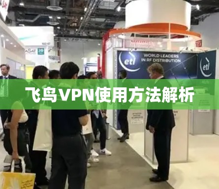 飞鸟VPN使用方法解析 飞鸟VPN使用方法解析