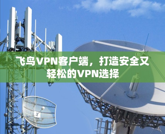 飞鸟VPN客户端，打造安全又轻松的VPN选择