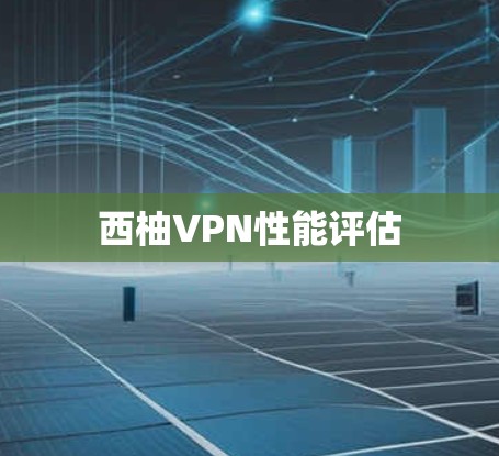 西柚VPN性能评估