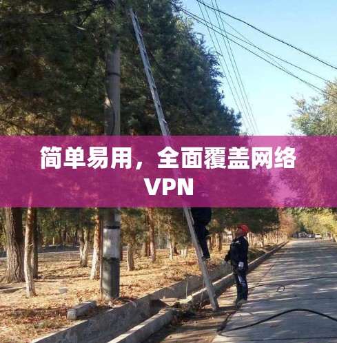 简单易用，全面覆盖网络VPN